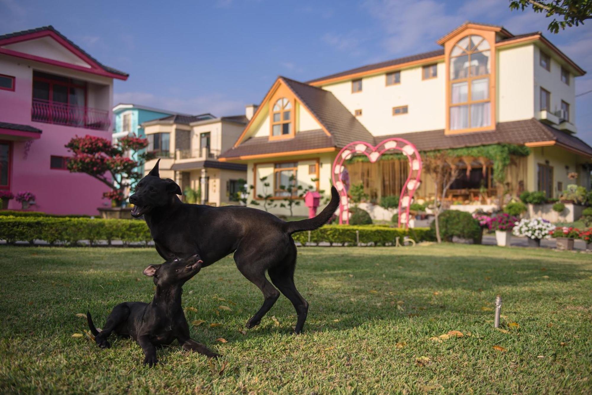 Xinfu Traveler Inn Taiping  Kültér fotó