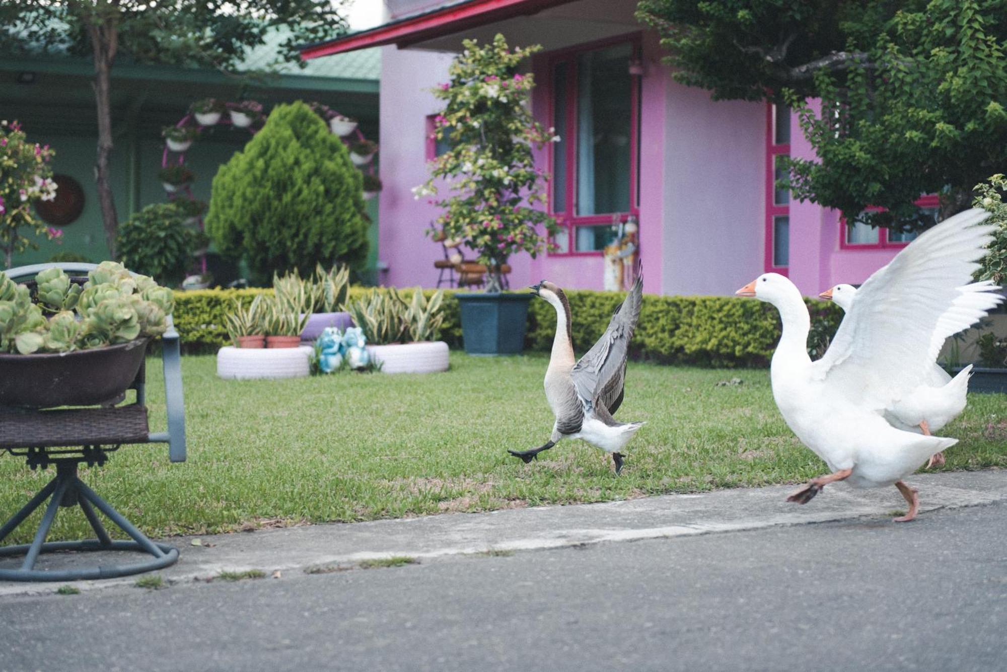 Xinfu Traveler Inn Taiping  Kültér fotó