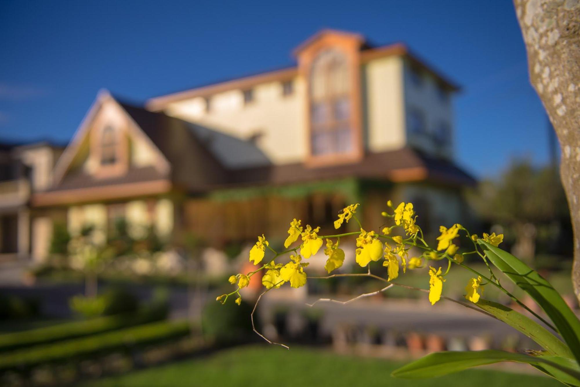 Xinfu Traveler Inn Taiping  Kültér fotó