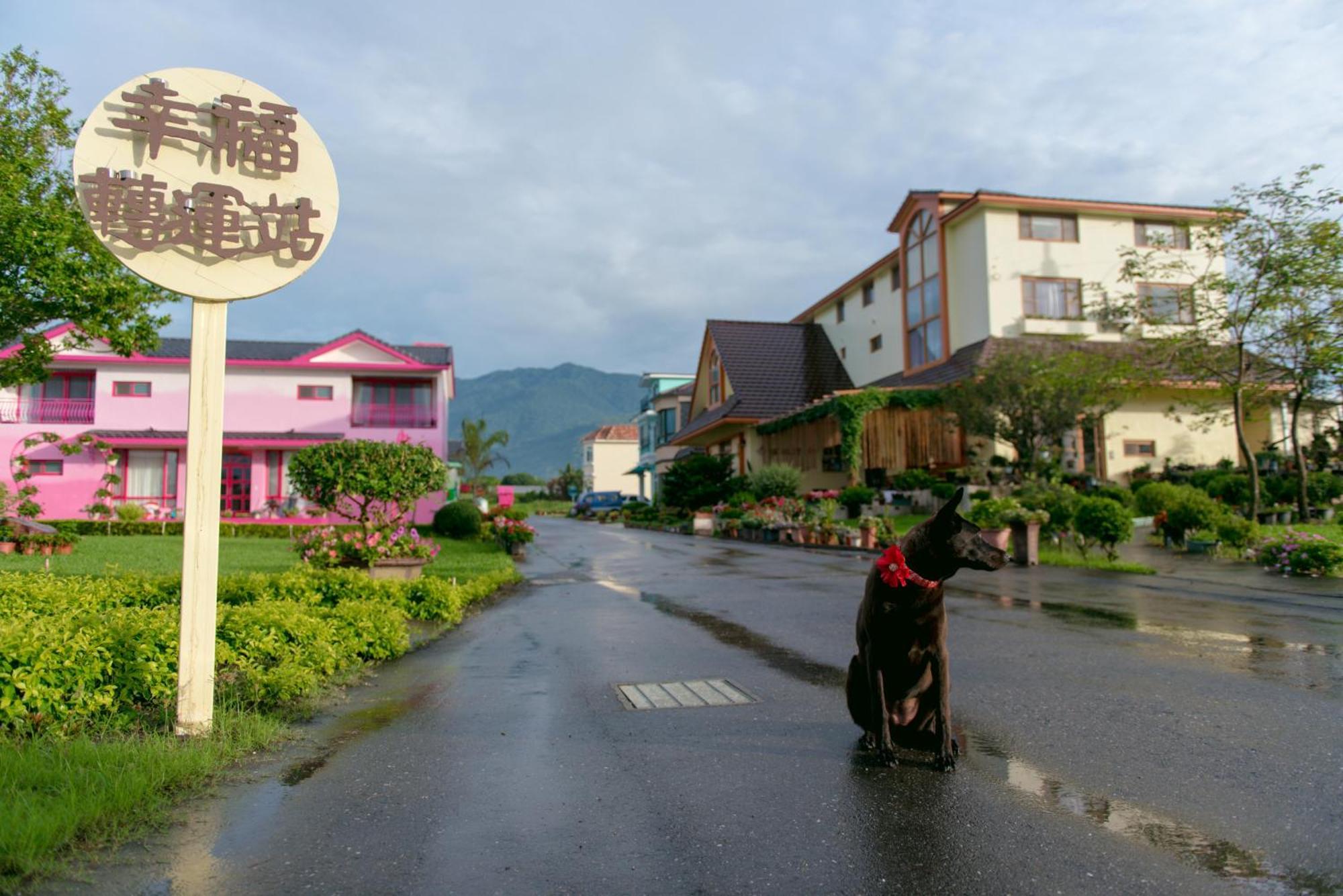 Xinfu Traveler Inn Taiping  Kültér fotó