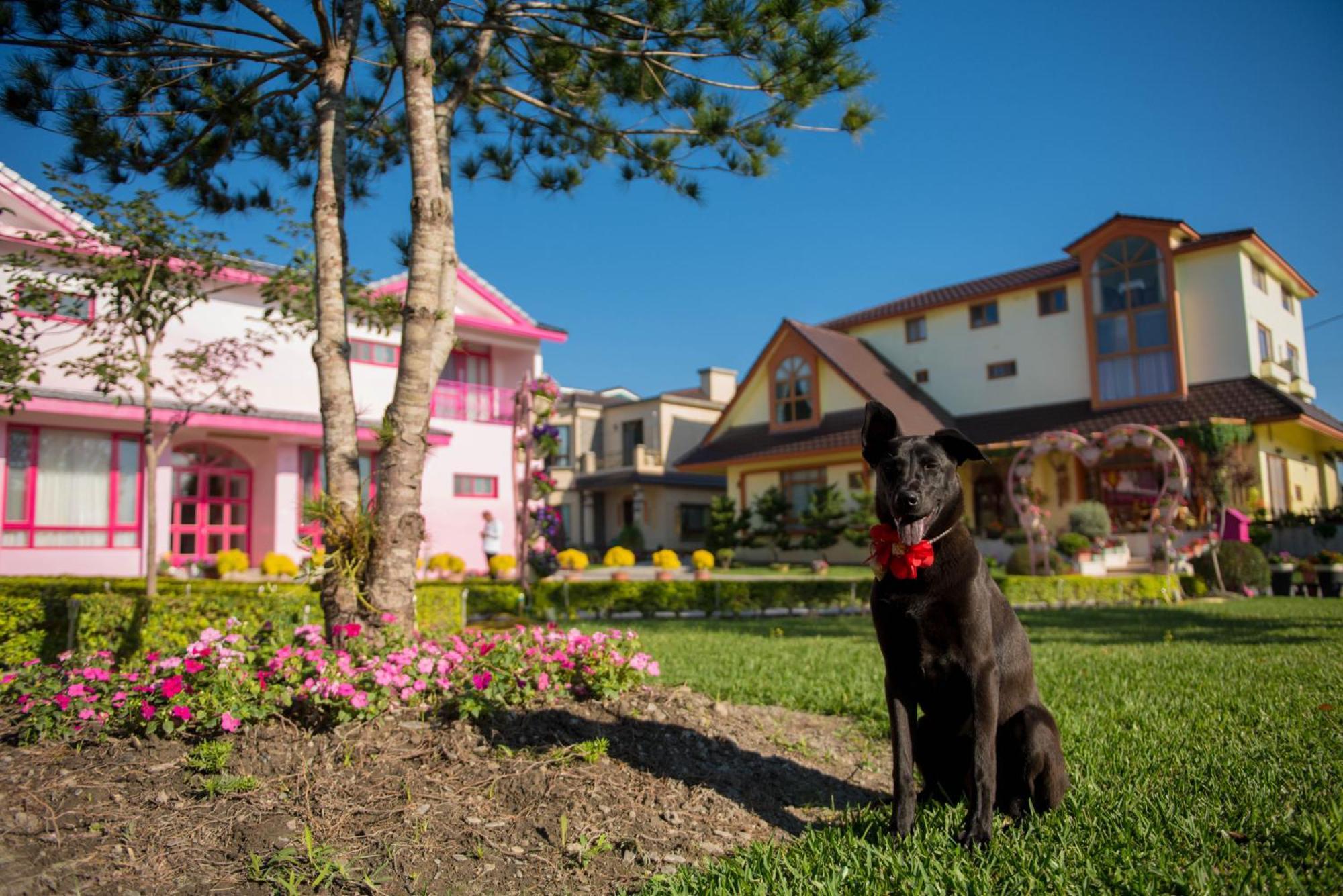 Xinfu Traveler Inn Taiping  Kültér fotó